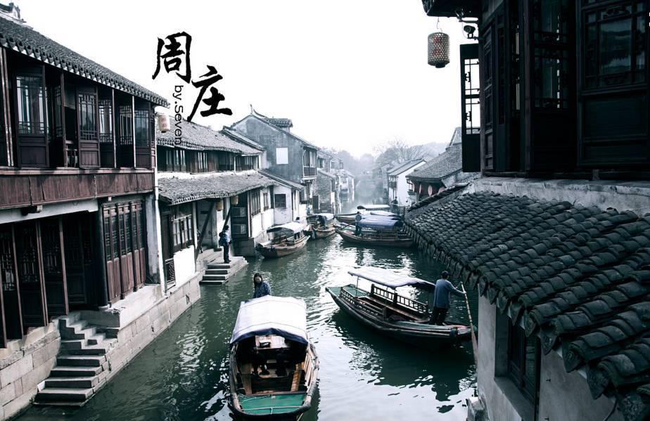 植物大战僵尸11